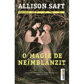 O magie de neimblanzit - Allison Saft