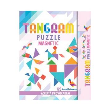 Tangram puzzle magnetic