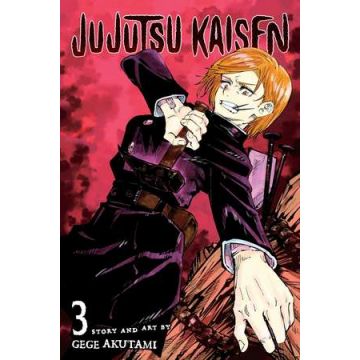 Jujutsu Kaisen Vol. 3