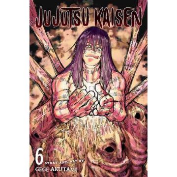 Jujutsu Kaisen Vol. 6