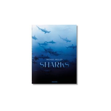 Latest Edition - Sharks
