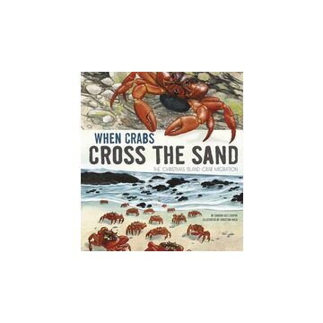 When Crabs Cross the Sand