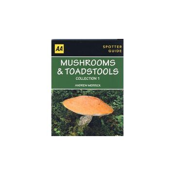 Mushrooms & Toadstools Collection 1