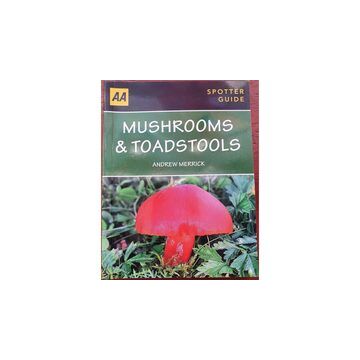 Spotter Guide: Mushrooms & Toadstools