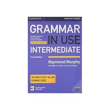 Grammar in use intermediate
