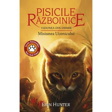 Pisicile războinice (vol. 31): Viziunea din umbre. Misiunea ucenicului
