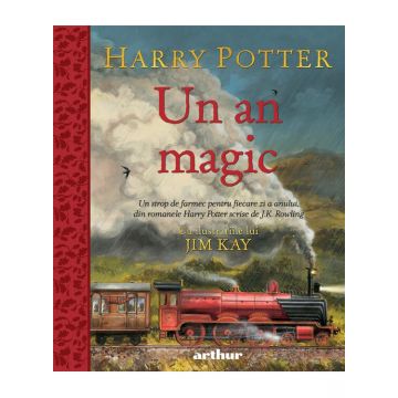 Harry Potter. Un an magic