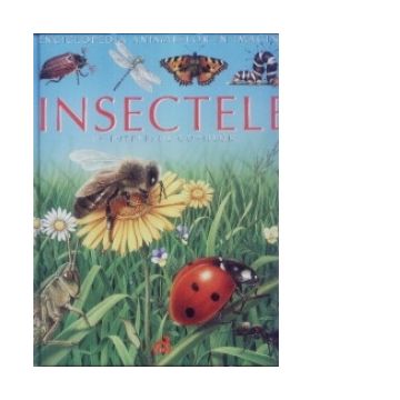 Insectele pe intelesul copiilor