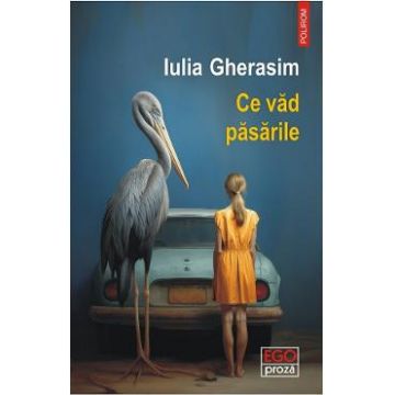 Ce vad pasarile - Iulia Gherasim