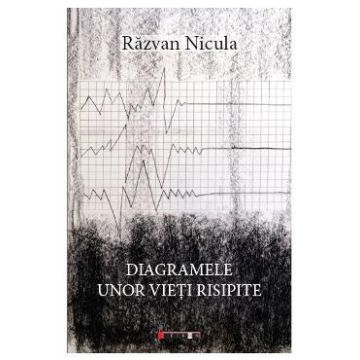 Diagramele unor vieti risipite - Razvan Nicula