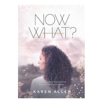 Now What? A quick guide to help you rise when life knocks you down - Karen M. Allen