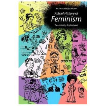 A Brief History of Feminism - Antje Schrupp