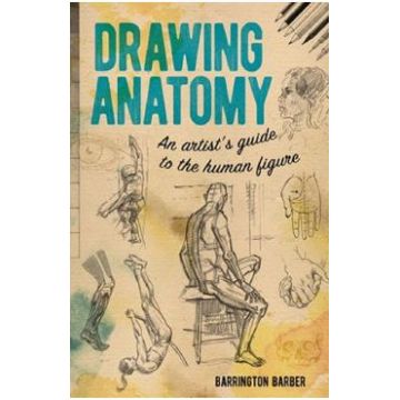 Drawing Anatomy: An Artist's Guide to the Human Figure - Barrington Barber