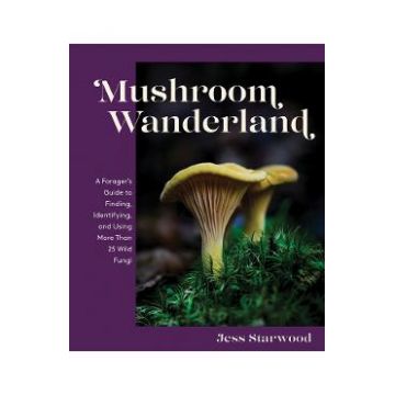 Mushroom Wanderland - Jess Starwood