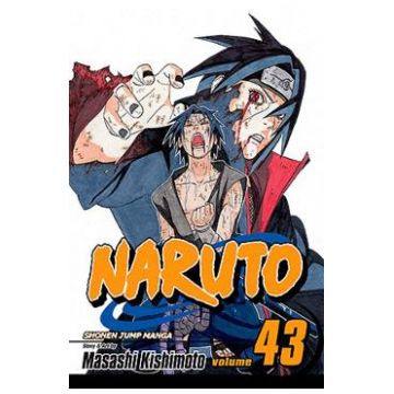 Naruto Vol.43: The Man with the Truth - Masashi Kishimoto