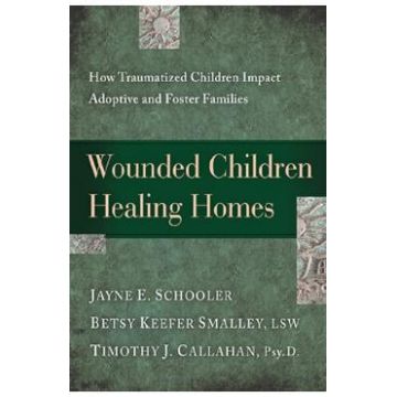 Wounded Children, Healing Homes - Jayne E. Schooler, Betsy Keefer Smalley, Timothy J. Callahan, Melody Carlson