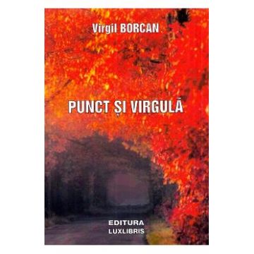 Punct si virgula - Virgil Borcan