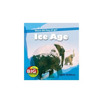 Ice Age (The Big Picture)