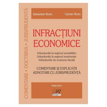 Infractiuni economice - Sebastian Bodu, Ciprian Bodu