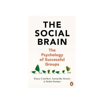 Social Brain: The Psychology of Successful Groups