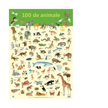 Plansa - 100 de animale