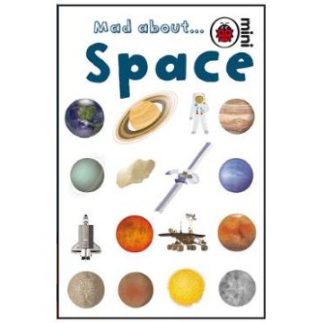 Mad About Space - Ladybird