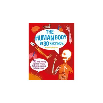Human Body in 30 Seconds