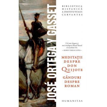 Meditații despre Don Quijote. Gânduri despre roman