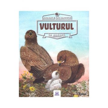 Animale salbatice in natura: Vulturul