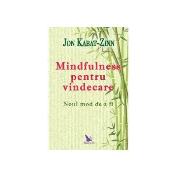 Mindfulness pentru vindecare