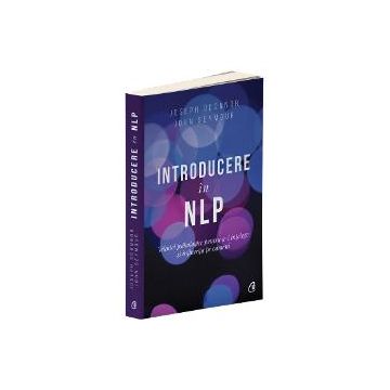 Introducere in NLP (editia a II a)