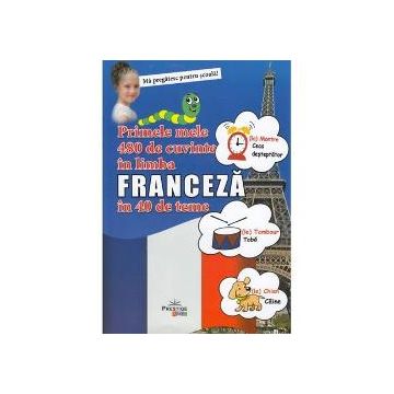 Primele mele 480 de cuvinte in limba franceza in 40 de teme