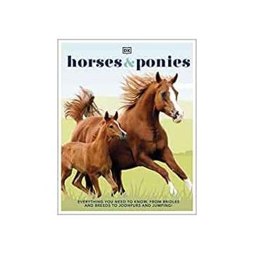 Horses & Ponies : Everything You Need to Know