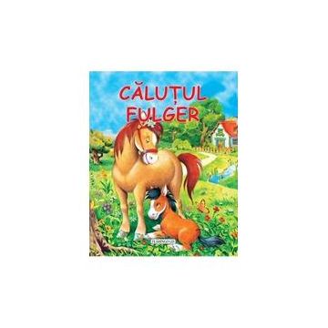 Calutul Fulger (editie cartonata)