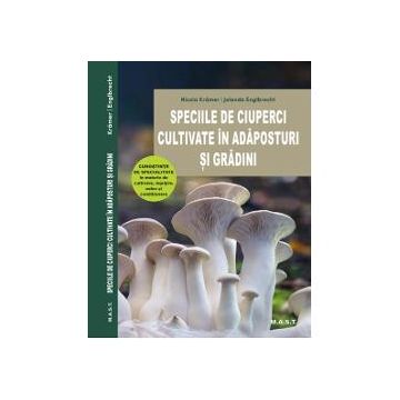 Speciile de ciuperci cultivate in adaposturi si gradini