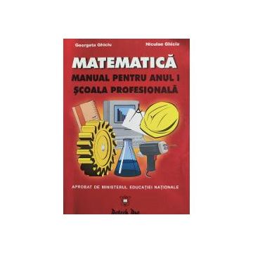 Manual matematica pentru anul I scoala profesionala