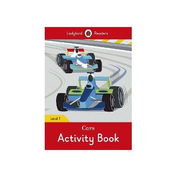 Cars activity book