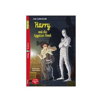 Harry and the egyptian tomb