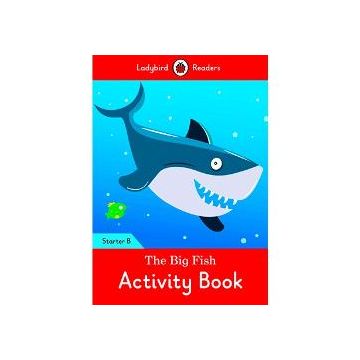 The big fish activity book starter b