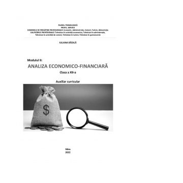 Analiza economico-financiara. Auxiliar curricular pentru clasa a XII-a