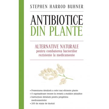 Antibiotice din plante. Alternative naturale pentru combaterea bacteriilor rezistente la medicamente