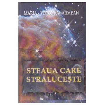Steaua care straluceste - Maria-Veronica Armean