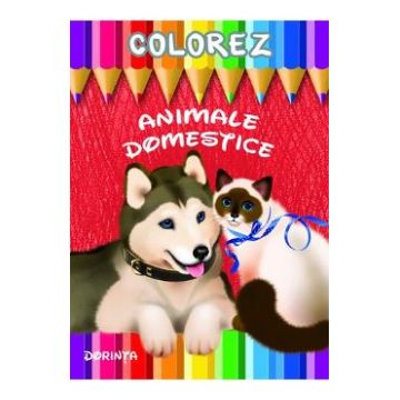 Colorez: Animale domestice