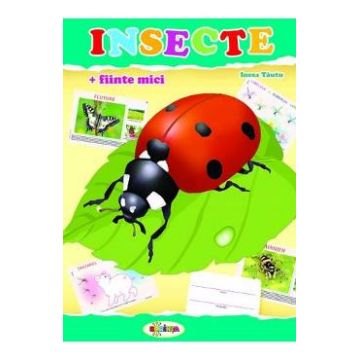 Insecte (mapa) - Inesa Tautu