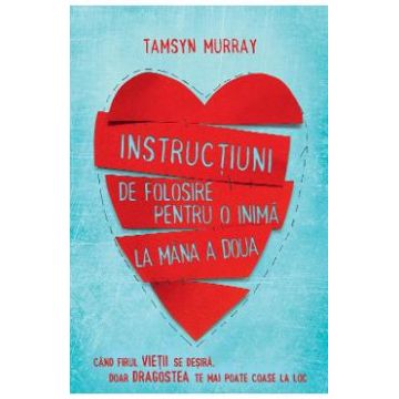 Instructiuni de folosire pentru o inima la mana a doua - Tamsyn Murray