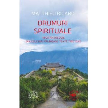 Drumuri spirituale - Matthieu Ricard