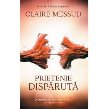 Prietenie disparuta - Claire Messud