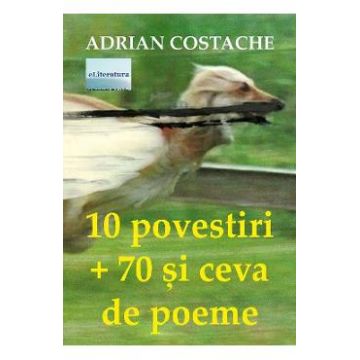 10 povestiri + 70 si ceva de poeme - Adrian Costache
