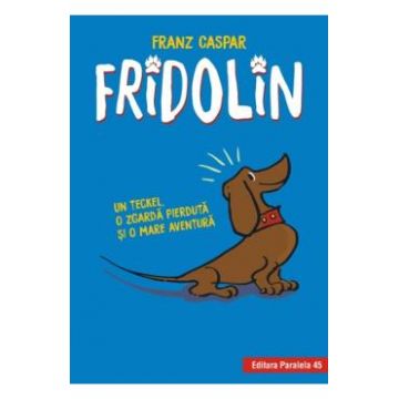 Fridolin - Franz Caspar